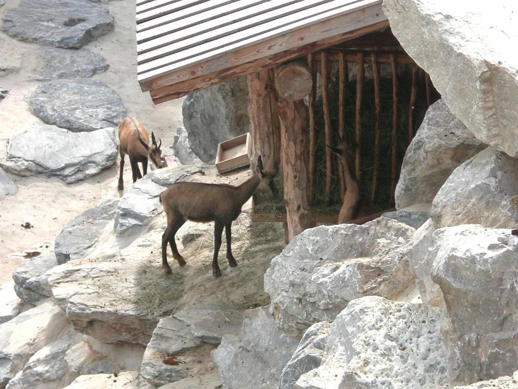 Appartements Haus Olympia Innsbruck Pokój zdjęcie
